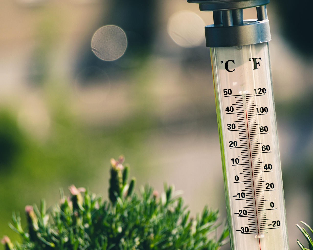Heat Alert: Upcoming Weather Forecast